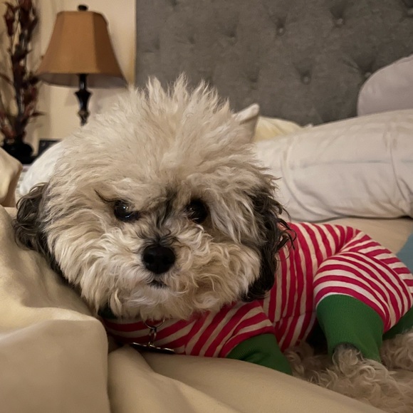 Meet your Posher, Oliviaodc - Picture 10 of 10